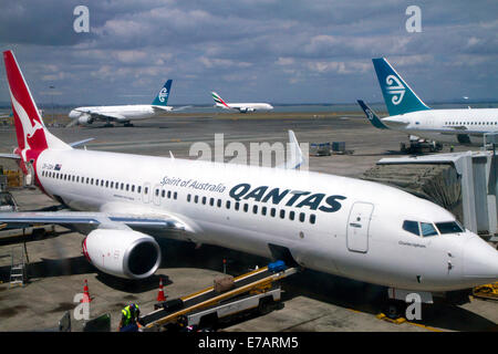 Flugzeuge am Flughafen Auckland, Auckland, Nordinsel, Neuseeland. Stockfoto