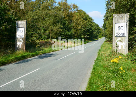 Road Sign Beratung 40 MPH Zone bei Marquis Laufwerk Cannock Chase Landschaftspark Staffordshire UK Stockfoto