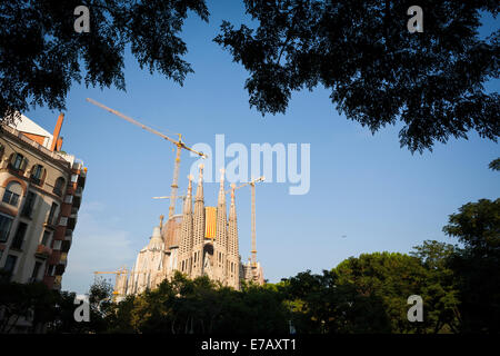 Barcelona, Katalonien, Spanien. 11. September 2014. Katalanische Flagge hängt an der Sagrada Familia. Katalanische Leute Schlange, um eine sieben-Meilen lange V für die Abstimmung über die Selbstbestimmung Referendum geplant am 9. November zu bilden. Stockfoto