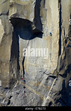 Kletterer, die Skalierung El Capitan, Yosemite-Nationalpark, Kalifornien, USA Stockfoto