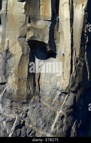 Kletterer, die Skalierung El Capitan, Yosemite-Nationalpark, Kalifornien, USA Stockfoto