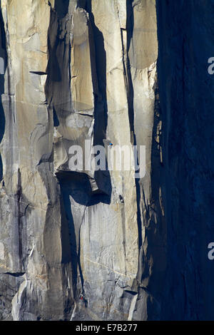 Kletterer, die Skalierung El Capitan, Yosemite-Nationalpark, Kalifornien, USA Stockfoto