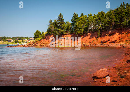 Rote Klippen von Prince Edward Island Atlantikküste in der Nähe von Cavendish, PEI, Kanada. Stockfoto