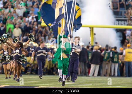 South Bend, Indiana, USA. 6. Sep, 2014. Die Notre Dame Kobold und Cheerleader führen auf das Feld für das Spiel gegen Michigan die Fighting Irish. Die Notre Dame Fighting Irish besiegte die Michigan Wolverines 31-0 im Stadium der Notre Dame in South Bend, Indiana. © Frank Jansky/ZUMA Draht/Alamy Live-Nachrichten Stockfoto