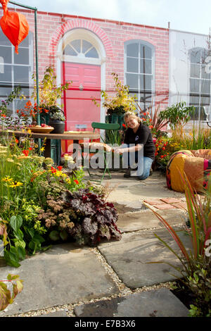 Harrogate, Yorkshire, UK. 11. September 2014. Die jährlichen Herbst Harrogate Flower Show, Yorkshire Showground, rangiert als eine der britischen Top 3 Gartenbau Veranstaltungen. Neu für 2014 ist die Inspiration Straße, eine Reihe von kleinen Gärten vor dem Hintergrund eines traditionellen street-Szene. Die Allee wird schöne Angebot, größeren Garten sowie einem neuen gemeinschaftlichen Geist mit 'message in Designs einen Garten" von Gruppen und Nächstenliebe. Credit: Mar Photographics/Alamy Leben Nachrichten. Stockfoto