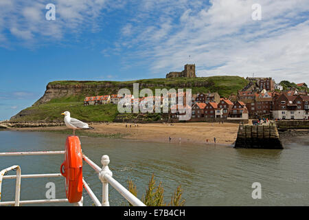 Whitby Hafen mit Gebäuden der englischen Küstenstadt gruppierten entlang der Hügel am Rand des Wassers und die Möwe im Vordergrund Stockfoto