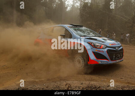 Coffs Harbour, Australien, Freitag, 12. September 2014. Hyundai Motorsport World Rally Team. Thierry Neuville und Beifahrer Nicolas Gilsoul auf besondere Etappe sechs der Rallye Australien. Ein Fahrwerk Problem sah Neuville auf den zehnten Platz auf die gesamte Timings für das Ereignis zu löschen. Bildnachweis: Russell Hunter/Alamy Live-Nachrichten Stockfoto