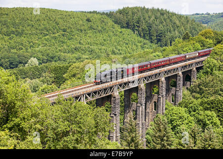 Die königlichen Herzogtums dämpfen über St Pinnock Viadukt Stockfoto