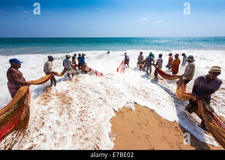 Fischer, Tagelöhner, schleppen in einem Netz am Strand, in der Nähe von Kottegoda, südlichen Provinz, Sri Lanka Stockfoto