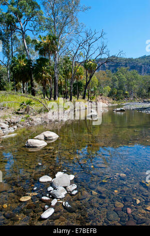 Fluss fließt durch den Carnarvon Nationalpark, Queensland, Australien Stockfoto
