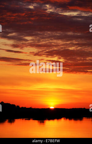 Sunrise, Nationalpark Biebrza-Flusstal, Podlaskie Woiwodschaft, Polen Stockfoto