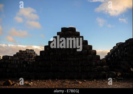 Wird der Whisky-Fässer sind außerhalb bei Speyside Cooperage in Craigellachie, Schottland zu sehen. Stockfoto