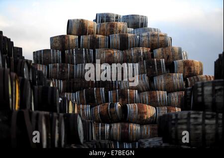 Wird der Whisky-Fässer sind außerhalb bei Speyside Cooperage in Craigellachie, Schottland zu sehen. Stockfoto