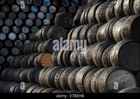 Wird der Whisky-Fässer sind außerhalb bei Speyside Cooperage in Craigellachie, Schottland zu sehen. Stockfoto