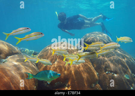 Unterwasser-Szene mit Mann in einem Korallenriff schnorcheln und Schule des Fisches in der Karibik auf der Suche Stockfoto