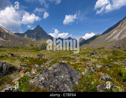 Alpine Tundra im Juli. TUNKA Grat. Sajan-Gebirge. Republik Burjatien Stockfoto