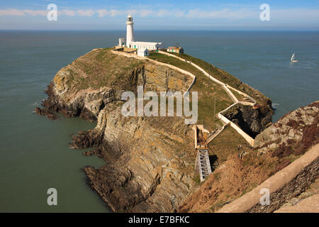 South Stack Leuchtturm auf Anglesey. Stockfoto