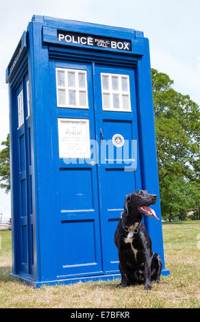 Schwarze Labrador K9 Hundesitting außen Dr Who Tardis die Clifton Bristol UK nur zustande gekommen ist Stockfoto