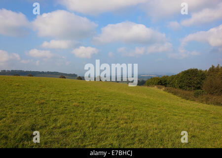 Eine grüne Hochland Wiese mit Blick auf das Tal von York von den Höhen der Yorkshire Wolds im Herbst oder im Herbst Stockfoto