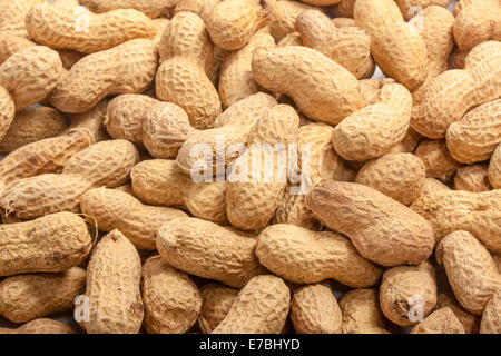 Getrocknete Erdnüsse in Nahaufnahme Stockfoto
