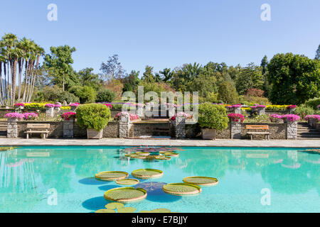 Villa Taranto, Verbania, Lago Maggiore, Italien Stockfoto