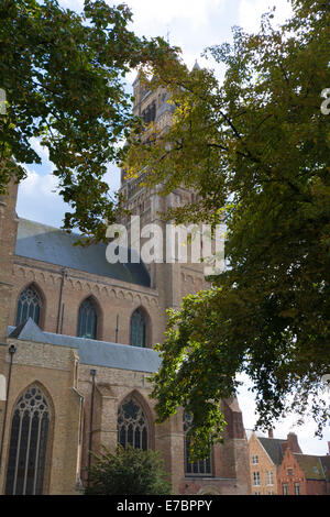 Die Heiligen Erlöser-Kathedrale oder Sint-Salvatorskathedraal in Brügge, West-Flandern, Belgien Stockfoto