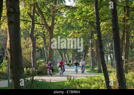 Radweg in der Nähe von Strand, Timmendorfer Strand, Ostsee, Schleswig-Holstein, Deutschland Stockfoto