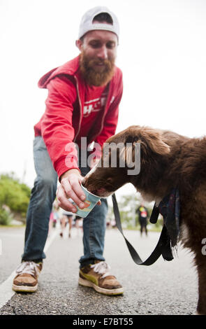 Austin, Texas, USA. 26. April 2014. RICHARD GILMORE gibt seinen Hund, Jezabel Mae, ein Schluck Wasser in der Nähe von Texas Highway Loop 1 Autobahn während der Austin American-Statesman Capitol 10.000 Rennen auf Sonntag, 6. April 2014 in Austin, Texas. © Ashley Landis/ZUMA Draht/Alamy Live-Nachrichten Stockfoto