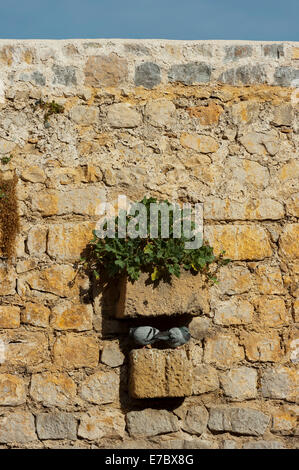 Ibiza-Burg Stadtmauer, Altstadt, Dalt Vila, Eivissa, Ibiza, Balearen, Spanien, Mittelmeer, Europa Stockfoto