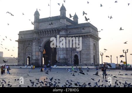 Tauben flattern auf dem Platz rund um das Tor zu Indien, Mumbai Stockfoto