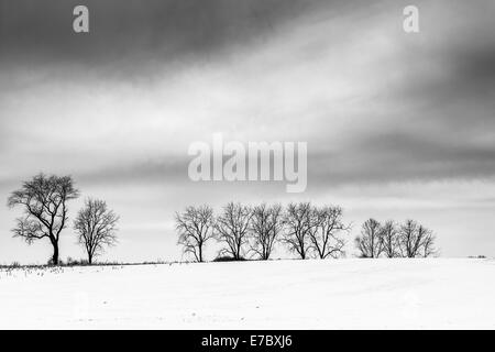 Bäume auf dem Schnee bedeckt Feld in ländlichen Adams County, Pennsylvania. Stockfoto