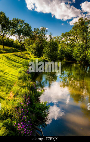 Reflexionen von Wolken und Bäume in Antietam Creek, am Antietam National Battlefield, Maryland (vertikal). Stockfoto