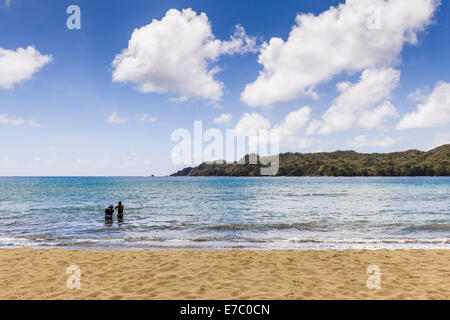 Familie Baden am Strand in Kings Bay in Delaford, Eastern Tobago. Stockfoto