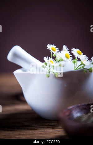 Die alte chinesische Medizin, Kräuter und Infusionen. Natürliche Blumen Stockfoto
