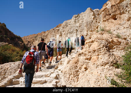 Gruppe von Menschen klettern auf einem Hügel in der Oase Ein Gedi und Nationalpark in der Nähe von Masada, israel Stockfoto