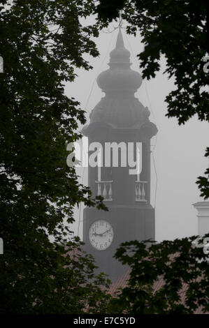 Glockenturm des Rathauses von Tartu am nebligen Morgen gesehen Trog Bäume. Stockfoto