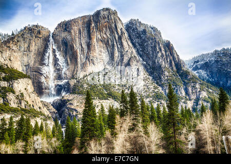 Yosemite Falls vom Tal aus gesehen. Yosemite Nationalpark, Kalifornien Stockfoto