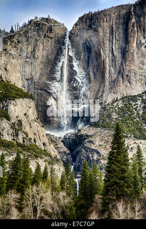 Yosemite Falls vom Tal aus gesehen. Yosemite Nationalpark, Kalifornien Stockfoto