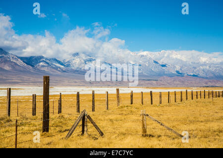 Die Felder eines alten Bauernhofes am Fuße der östlichen Sierra Nevada Bergkette. Kalifornien, USA Stockfoto