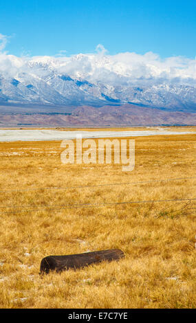 Die Felder eines alten Bauernhofes am Fuße der östlichen Sierra Nevada Bergkette. Kalifornien, USA Stockfoto