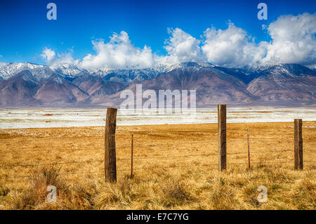 Die Felder eines alten Bauernhofes am Fuße der östlichen Sierra Nevada Bergkette. Kalifornien, USA Stockfoto