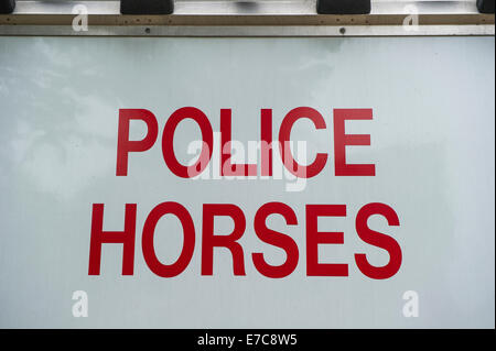 Polizei-Pferd-detail Stockfoto