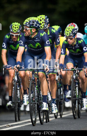 Fernhurst, UK. 13. Sep, 2014. Movistar Team führen das Hauptfeld auf Stufe 7 (Camberley nach Brighton) 2014 Tour of Britain. Bildnachweis: Anthony Hatley/Alamy Live-Nachrichten Stockfoto