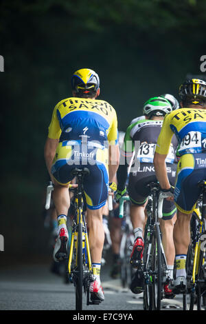 Fernhurst, UK. 13. Sep, 2014. Der Rückseite des das Hauptfeld in Stufe 7 (Camberley nach Brighton) 2014 Tour of Britain. Bildnachweis: Anthony Hatley/Alamy Live-Nachrichten Stockfoto