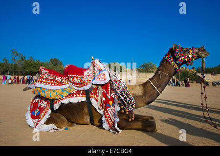 Ein Kamel dekoriert für das Desert Festival in Jaisalmer, Indien Stockfoto