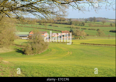 Feder Ackerland und sanften Hügeln in der Nähe der Warwickshire Dorf Wooton Wawen in den Midlands, England, Großbritannien Stockfoto