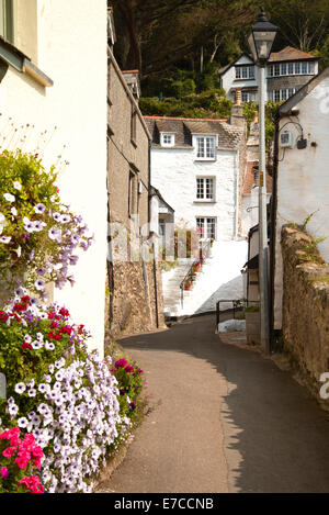 Angeln, Dorfhäuser und Dächer im traditionellen historischen Polperro, Cornwall, England Stockfoto