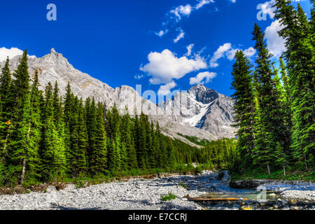 Landschaftlich reizvolle Bergwanderungen Ansichten, Rae Glacier und Ellenbogen Seengebiet, Peter Lougheed Provincial Park, Alberta Kanada Stockfoto