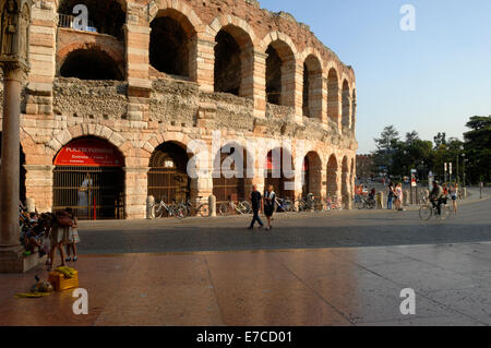Der Roman Amphitheatre in Verona in der Abenddämmerung Stockfoto