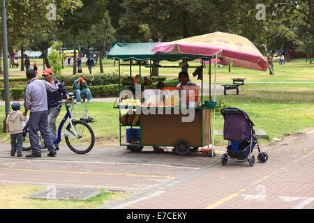 Unbekannte Frau Verkauf von frischen Säften und Obst schneiden, auf einem kleinen Wagen im El Ejido-Park in Quito, Ecuador Stockfoto